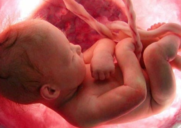 Best Fetal Medicine Centre in Jaipur