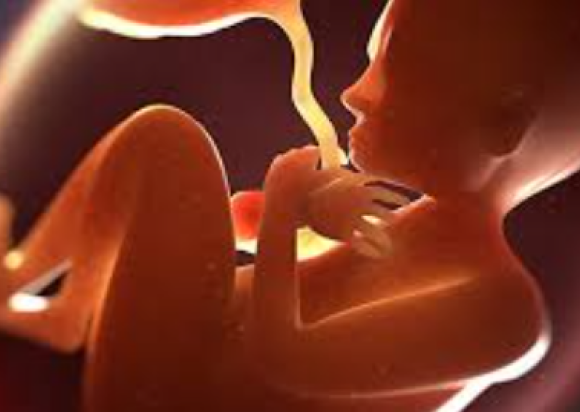 Best Fetal Medicine Centre in Jaipur